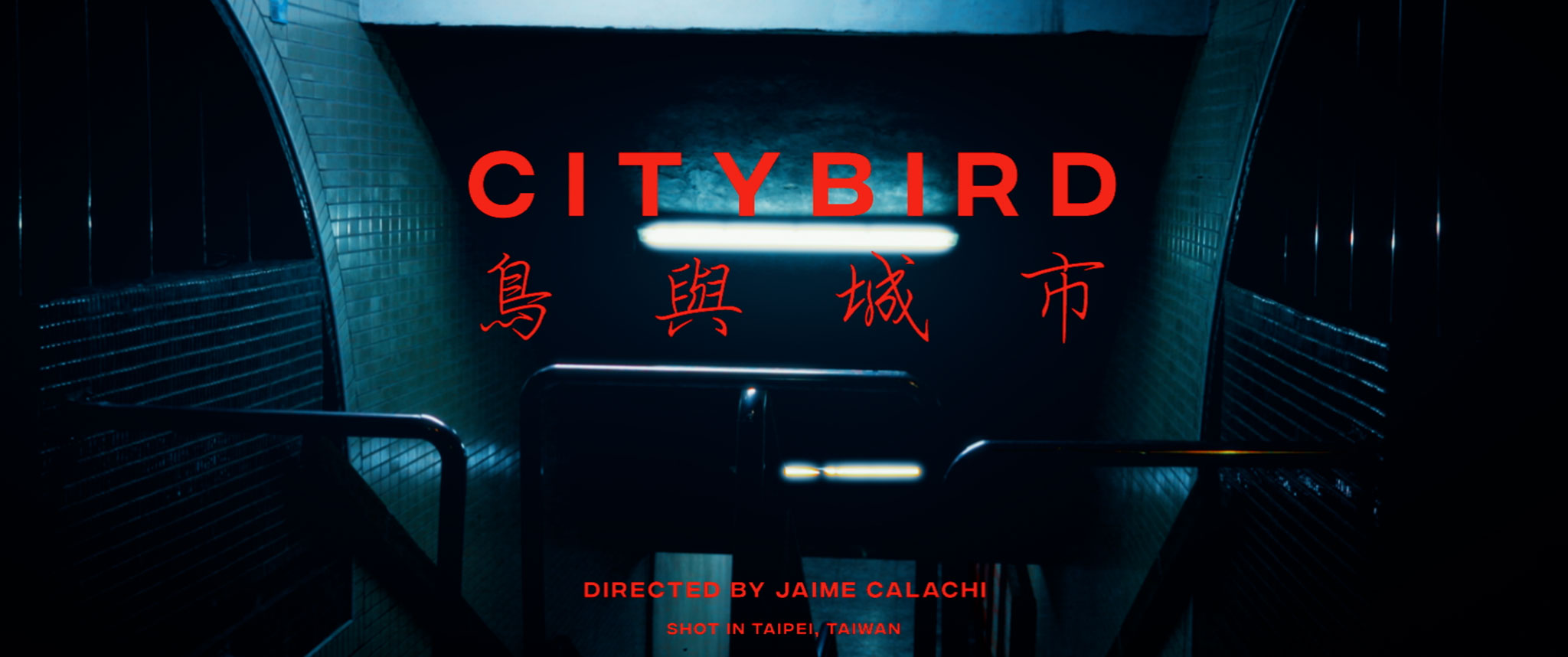Citybird_thumb